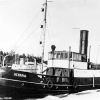 Herr�ng
